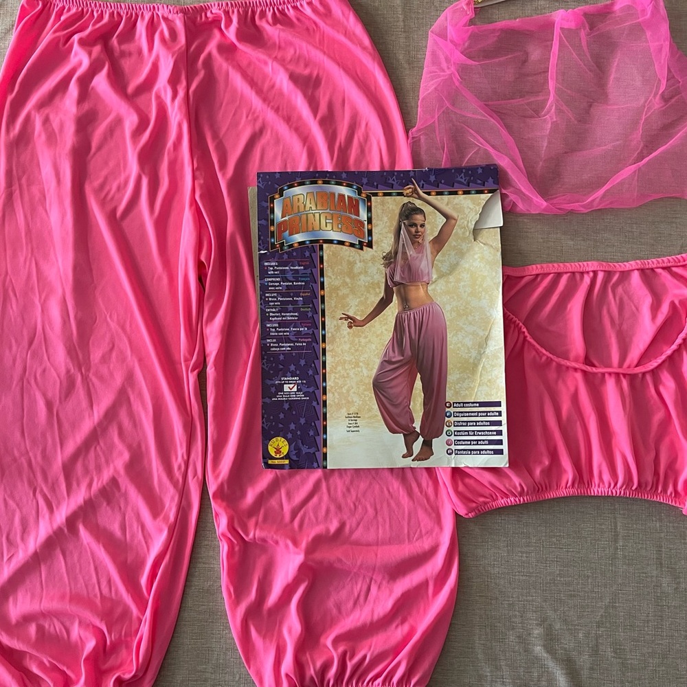 Pink Women's Arabian Princess Costume